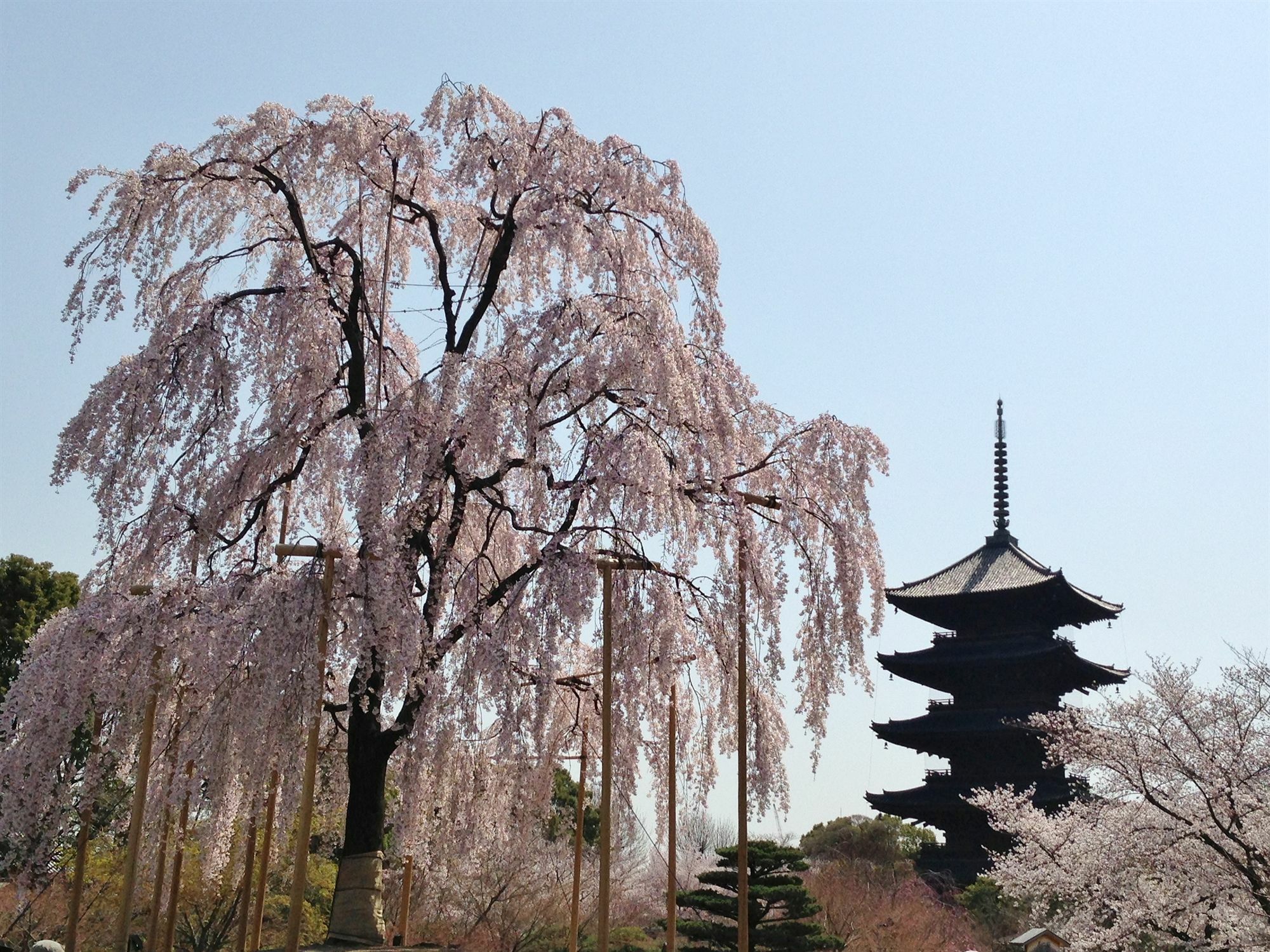 Hotel Livemax Kyoto Gojo Екстер'єр фото